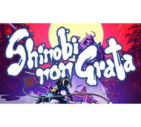 Shinobi non Grata (Nintendo)