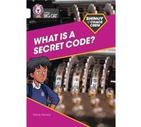 Shinoy and the Chaos Crew What is a secret code by Stevie Derrick Paperback Book Stevie Derrick (Auteur)