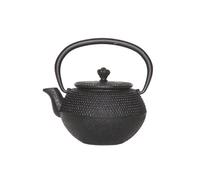 Théière en fonte Cabine Size Takara Black avec Filtre Tsp69 0.35 L Noir