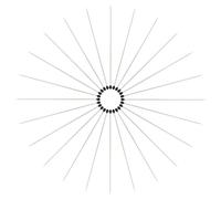 SHINYPASING Aiguilles en Acier Inoxydable pour Spécimens Entomologiques, Lot de 2 Flacons 200 Épingles de Différentes Tailles, Kit D’épinglage pour Observation et Collection D’insectes