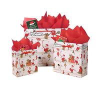 SHIPKEY 12 paquets de sacs de cadeaux de Noël, sacs du Père Noël avec papier de soie et cartes de vœux, sacs de friandises de Noël, tailles assorties