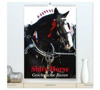 Shire Horse - Geschmückte Riesen (hochwertiger Premium Wandkalender 2026 DIN A2 hoch), Kunstdruck in Hochglanz: Traditionell geschmückte Shire Horse