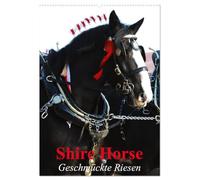 Shire Horse - Geschmückte Riesen (Wandkalender 2026 DIN A2 hoch), CALVENDO Monatskalender: Traditionell geschmückte Shire Horse