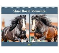 Shire Horse Momente. Masse und Kraft in Bewegung (Wandkalender 2027 DIN A3 quer), CALVENDO Monatskalender: Die größten Pferde der Welt in Bewegung - kraftvoll, majestätisch und voller Ausdruck