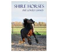 Shire Horses The Gentle Giants (Wall Calendar 2026 DIN A3 portrait), CALVENDO 12 Month Wall Calendar: The tallest horse breed in the world in action and detail