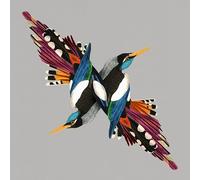 Shire T - Tomorrow's People