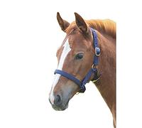 Shires Licol en nylon pour poulain, bleu marine