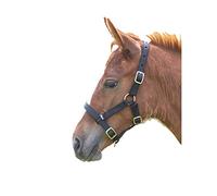 Shires Licol en nylon pour poulain, noir
