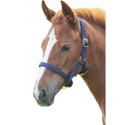 Shires Licol pour poulain ER409 (Foal/Mini) (Bleu marine)
