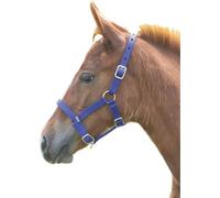 Shires Licol pour poulain ER409 (Foal/Mini) (Bleu royal)