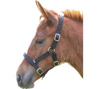 Shires Licol pour poulain ER409 (Foal/Mini) (Noir)