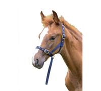 Shires Licol pour poulain Slip ER671 (Foal/Mini) (Bleu marine)