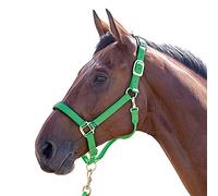 Shires Licol Topaz en nylon, coloris noir Entier Green