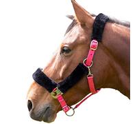 Shires - Licol (X Full) (Rose/Noir)