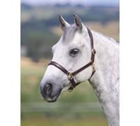 Shires Velocito Gara Ragley Lined Headcollar Hav Poney Unisex