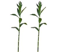 Shirfloral Lucky Lot de 2 branches de bambou artificielles avec tiges de bambou pour décoration de maison, salon, table, bureau, vase