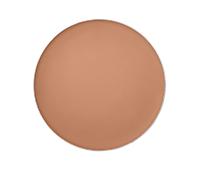 Shiseido - Expert Sun Protector - Expert Sun Fdt Comp.rech.bronz. - Bronze