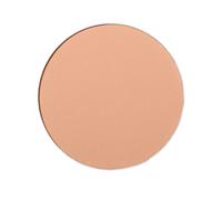 Shiseido - Expert Sun Protector - Expert Sun Fdt Comp.rech.dark Ivory - Medium Beige