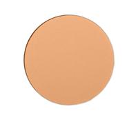 Shiseido - Expert Sun Protector - Expert Sun Fdt Comp.rech.dark Ivory - Medium Ochre