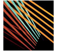 Shit Robot - What Follows [Vinyl Lp]
