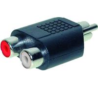 shiverpeaks BASIC-S Adaptateur audio fiche cinch