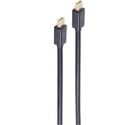 shiverpeaks BASIC-S Câble d'alimentation mini DisplayPort 2m M/M