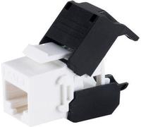 shiverpeaks ®-BASIC-S--Keystone cat.6 UTP, werkzeuglos (BS08-10037)