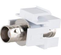 shiverpeaks ®-BASIC-S--Keystone Connecteur BNC femelle (BS08-10072)