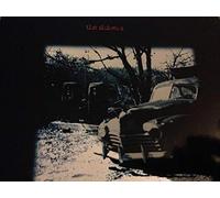 Shivers, the - The Shivers [Import]