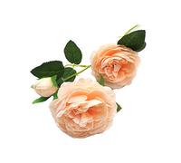 Shiwaki 5 pièces 66 cm / 25 Pouces 15 têtes Pivoine Artificielle Feuille de Fleur de Soie Bureau à Domicile fête de Mariage Festival Bar décor (Champagne)