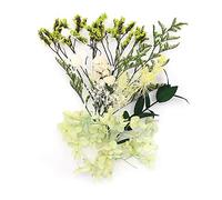 Shiwaki Boîte de Fleurs artificielles séchées préservées pour Fabrication de Bijoux en résine, décoration de Douche, décoration d'intérieur - Rêve d'été