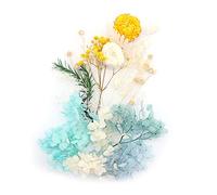 Shiwaki Fleurs Artificielles Simulation Fleurs Bo?Te Préservée Fleur Séchée Plante DIY Bougie Résine Fabrication De Bijoux Artisanat Décor Douche Décorations pour La Maison - Bleu Jaune Blanc