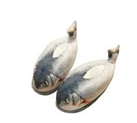 SHIXIAOSHU Cartoon mignon intérieur pantoufles - Hiver chaud Home chaussures en coton (Le poisson gris, Adulte, Femme, 37, Numérique (intervalle), Système Taille Chaussures EU, 42, Moyen)