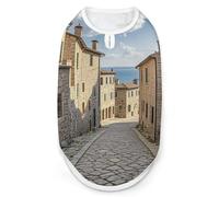 Shiyan House Chemise pour chien à séchage rapide et respirante - T-shirt doux et extensible sans manches - Taille S