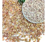 SHIZWU 5 livres de pierres de pêche pour plantes, petites pierres de 9,5 mm pour plantes succulentes, cactus, pierres polies naturelles, roches de rivière pour plantes, vases, jardin