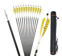 SHJGJR Flèches en Carbone de 32 Pouces pour Colonne vertébrale de tir à l'arc 250-600 flèches d'arc avec flèches en Plumes Naturelles de 4" pour arcs de Arc Classique (Spine 250, 12p+carquois)