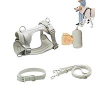 shjxi Ensemble de harnais pour chien de petite taille - Collier et laisse multifonction pour chiens de taille moyenne - Facile à porter - Pour les jours - Réglable
