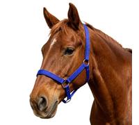 shjxi Support de cheval, harnais d'entraînement réglable, équipement de guidage de corde | Design confortable, accessoire de contrôle d'équitation pour chèvres, moutons, agneaux, veaux, vaches, élevages d'élevage
