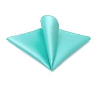 Shlax&Wing Couleur Unie Aqua Vert Bleu Poche de poche Pour des Hommes Classic Costume d'affaires
