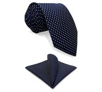 Shlax&Wing Points Bleu Navy Homme Cravate Pour de Soie Maigre