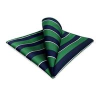 Shlax&Wing Rayures Homme Cravate Bleu Vert Classic Extra Long Nouveau Conception