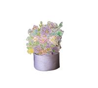 SHMEKUN Carte de vœux Florale Carte D'invitation De Carte De Voeux De Fleur Stéréo 6pc Mini3D Carte Postale À La Main-comme Un rêve (6pc)