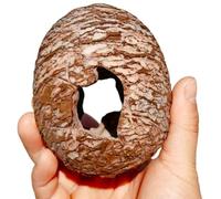 Shntig Cachette de dinosaure pour reptiles nécessitant peu d'entretien - Décoration extérieure texturée pour soulager le stress - Terrariums remplaçables à chaud