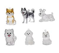 Shntig Lot de 1/6 porte-clés commémoratifs transparents pour poils d'animaux de compagnie - Boîte de rangement pour les animaux de compagnie