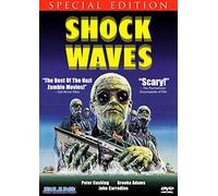 Shock Waves