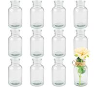 Shodiffy Petits Vases,12 Pièces 60ML Vase Transparent pour Décoration de Table 8,4 CM Mini Vase Hauts pour La Maison Les Mariages Les Anniversaires Les Fêtes