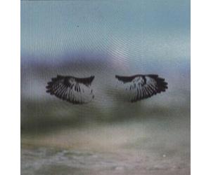 Shoes And Socks Off - Miles of Mad Water