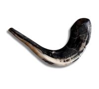 Shofar authentique et casher de Spring Nahal en corne de bélier polie d'Israël (40,6 à 45,7 cm)