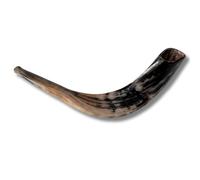 Shofar Original Corne de bélier polie complète israélienne - Instrument de musique juif facile à souffler - Fabriqué en Israël par Spring Nahal (45 à 50 cm)