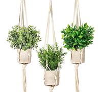 SHOHAYTO Lot de 3 Mini Plantes artificielles à Suspendre avec suspensions en macramé pour étagères, Mur, Cuisine, Ferme, Salle de Bain, Maison, Bureau
